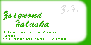 zsigmond haluska business card